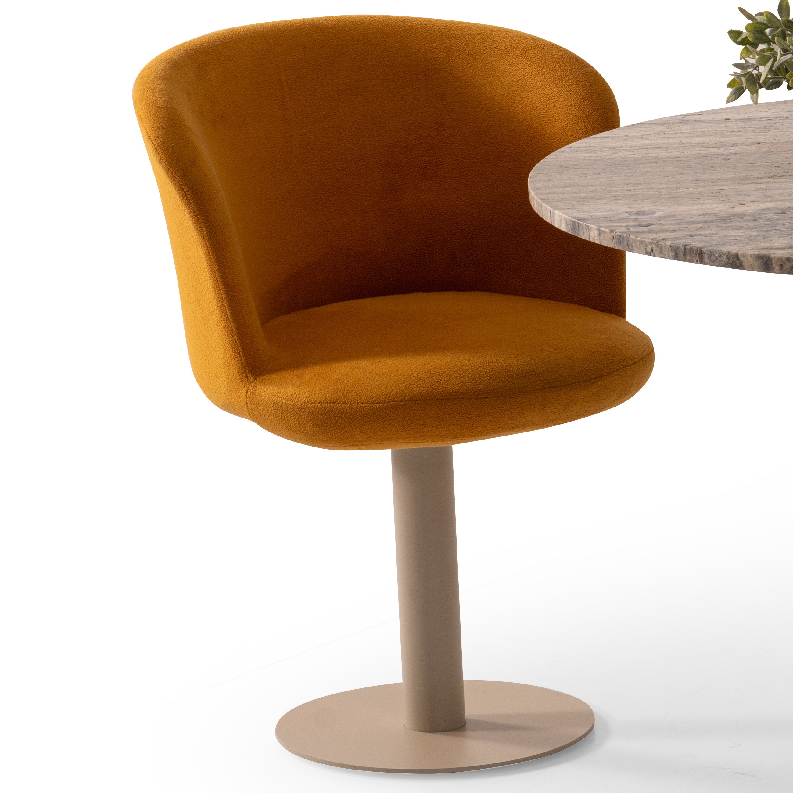 Vesta Dining Chair